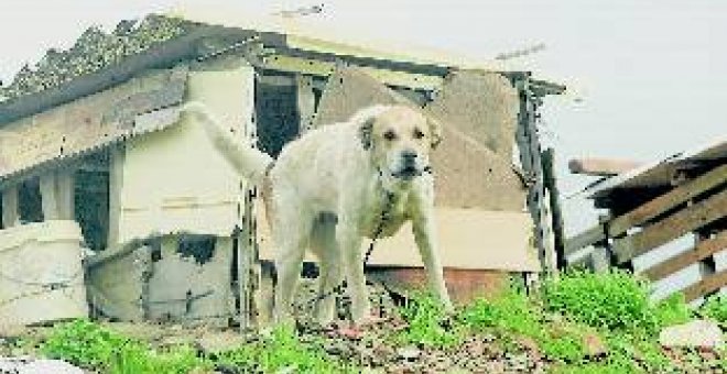 "El pueblo se ha levantado hoy con mucho dolor"