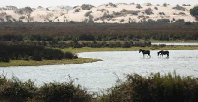 La Unesco escucha a los ecologistas en Doñana