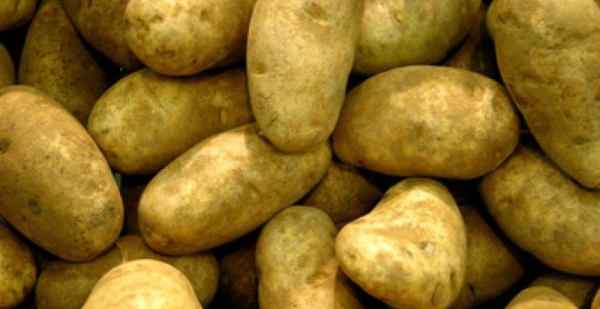 La patata, el alimento que más subió en 2010