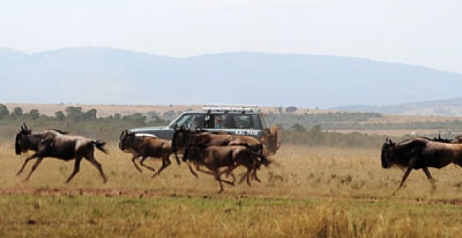Tanzania insiste en asfaltar el Serengueti