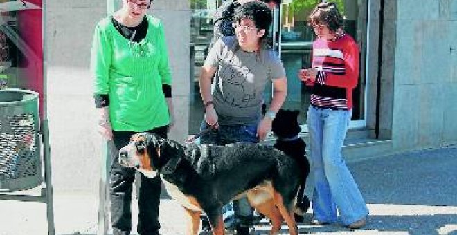 Cuidar gossos com a teràpia i feina per a joves discapacitats