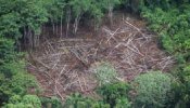 Brasil vota una ley que favorece la deforestación