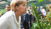Merkel promete indemnizar a los agricultores