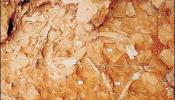 Atapuerca vivió rituales caníbales durante más de un millón de años