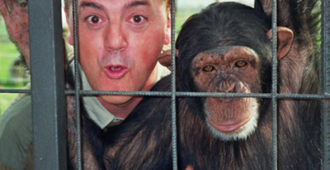 EEUU debate prohibir la investigación con chimpancés