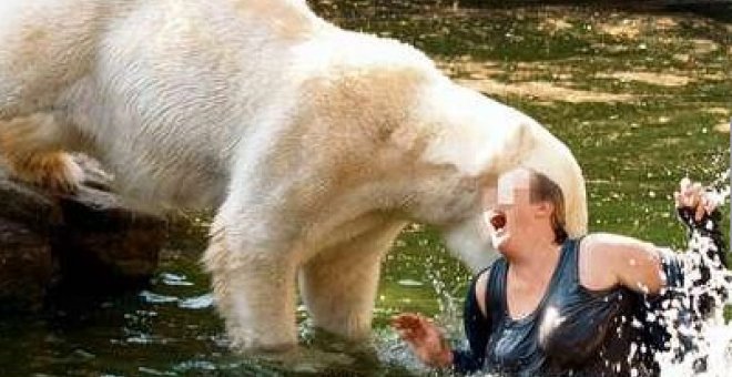 Sobrevive al ataque de tres osos polares en el zoo de Berlín
