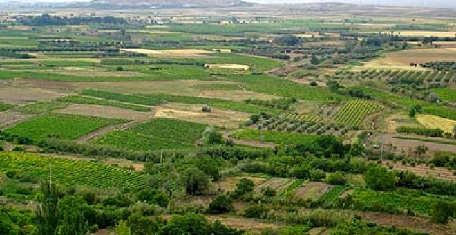 Tres nuevas rutas del vino en Lleida, León y Zaragoza