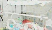 "Destete terminal" para neonatos críticos