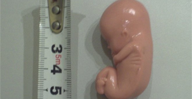 Antiabortistas 'bautizan' a muñeco-feto como 'Bebé-Aído'