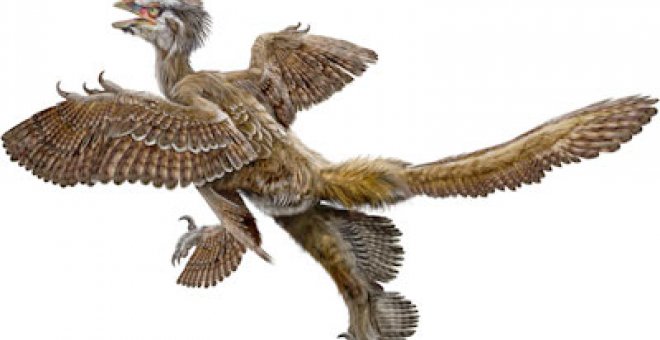 Descubren en China el fósil de un dinosaurio con cuatro alas y plumas