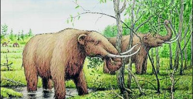 El hombre no exterminó al mamut