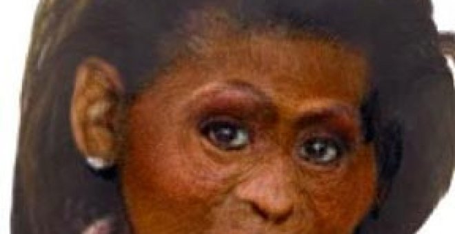 Google se disculpa por la 'imagen de mono' de Michelle Obama