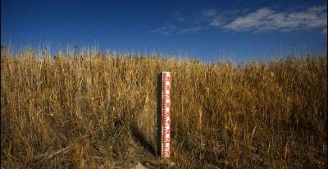 Las temperaturas en España han subido 1,5° en 30 años