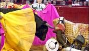 El Parlament abre la puerta a prohibir las corridas de toros en Catalunya