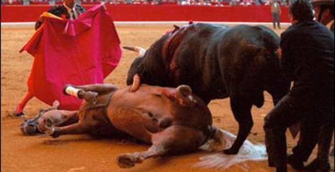 Un 'espontáneo' de IU pide la prohibición de los toros en Madrid