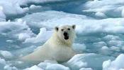 Veranos sin hielo en el océano Ártico, una consecuencia más del cambio climático