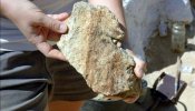 Extraen nuevos fósiles del dinosaurio más grande de Europa