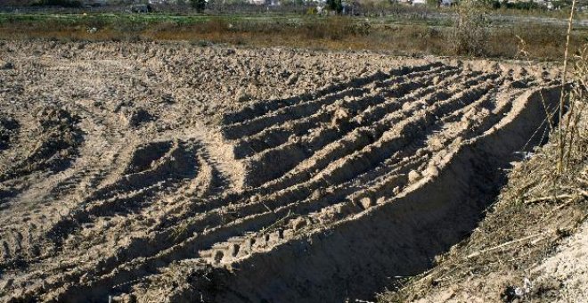 Un agricultor encuentra un cadáver descuartizado en su finca de Ceutí