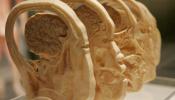 Un estudio revela que el cerebro humano está en construcción hasta el final de la adolescencia