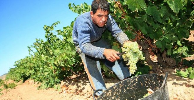 Unos 900.000 agricultores pueden pedir desde hoy ayudas directas de la PAC