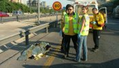 Muere al tirarse por un puente tras apuñalar a su compañera en presencia del hijo de ésta