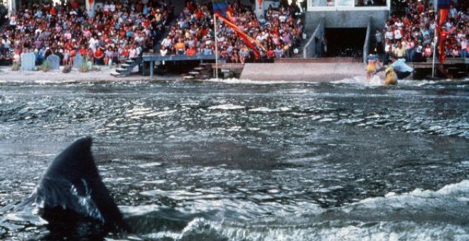Muere Roy Scheider, el inolvidable jefe de policía de "Tiburón"