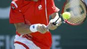 El español David Ferrer vence al belga Rochus en el torneo de Indian Wells