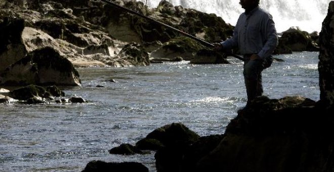 Isaías Rebordinos capturó el "campanu" en el coto del pozo Quinzanas, en el río Narcea