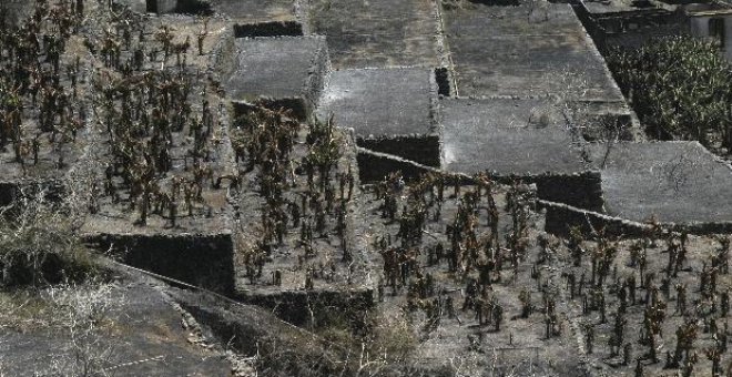 Controlado el incendio de La Gomera, que arrasó 800 hectáreas de terreno