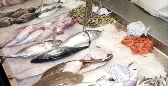El sector pesquero regala hoy 20 toneladas de pescado fresco en una concentración en el Ministerio