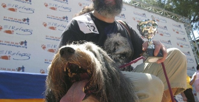 Unos 150 perros compiten en el Retiro de Madrid por parecerse a sus dueños