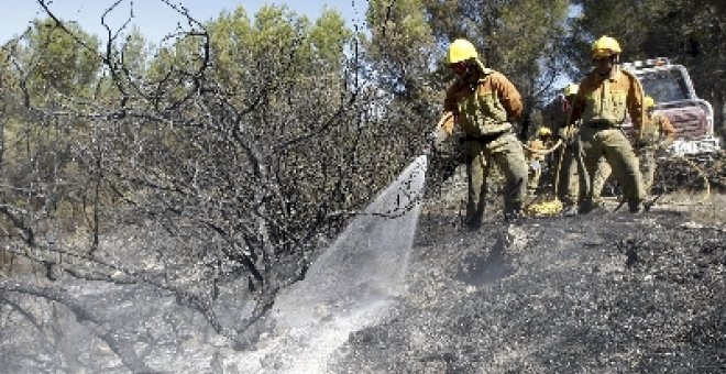 Sólo uno de cada mil incendiarios forestales es juzgado, según Greenpeace
