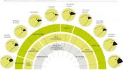 Por qué la teoría de la evolución aún es válida