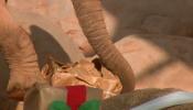 Los Reyes Magos dejan regalos a los animales del BIOPARC Valencia