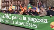 Agricultores catalanes se manifiestan en Madrid por unos "precios justos para el campo"