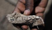 Descubierto en Etiopía un nuevo ancestro de los humanos