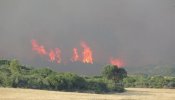 El verano más caluroso provoca un incendio devastador en Zaragoza
