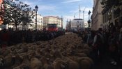 Unas 2.000 ovejas atraviesan Madrid en la XXII Fiesta de la Trashumancia