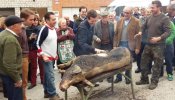 Críticas a Pablo Casado por participar en la matanza de un cerdo en Ávila
