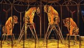 Castilla-La Mancha propone prohibir por ley el uso de animales salvajes en los circos a partir de 2020