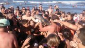 Una cría de delfín muere mientras un grupo de bañistas la pasa de mano en mano para hacerse 'selfies' en la playa