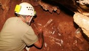 Los homínidos pudieron entrar en Europa hace 900.000 años por la Península Ibérica