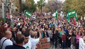Dos mil vecinos de Jódar salen a la calle para pedir la libertad del edil de Podemos condenado por agresión