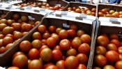 El frío es el gran culpable de la falta de sabor de los tomates