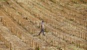 ¿La tierra para el que la trabaja?