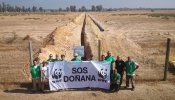 Doñana ha cumplido el límite con la UNESCO para resolver sus amenazas