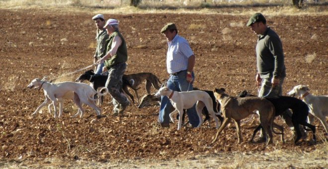 Casi 14.000 cazadores no renovaron licencia en 2016, la mayoría en Andalucía