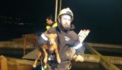 Rescatan a un perro atrapado en una tubería en un pueblo de Valencia
