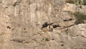 Fallece una mujer tras caer al vacío mientras hacía escalada en Granada