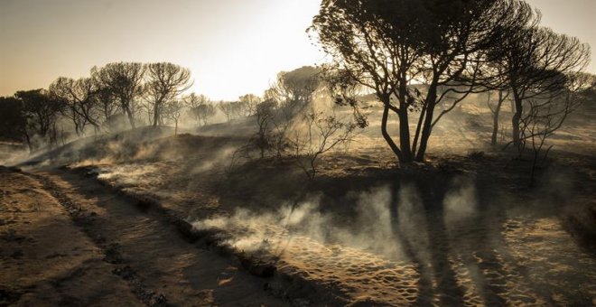 Las 5 noticias que no debes perderte hoy sábado 22 de julio de 2017